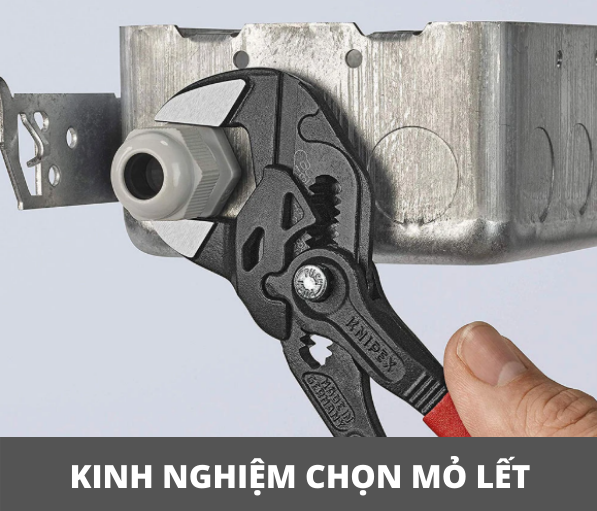 Kinh nghiệm chọn mỏ lết phù hợp