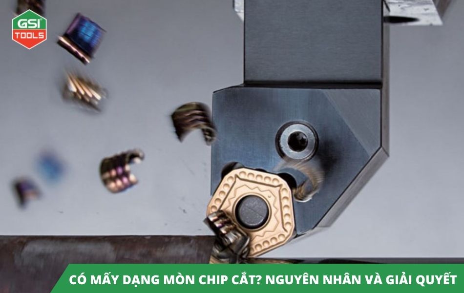 Có mấy dạng mòn chip cắt? Nguyên nhân và cách giải quyết