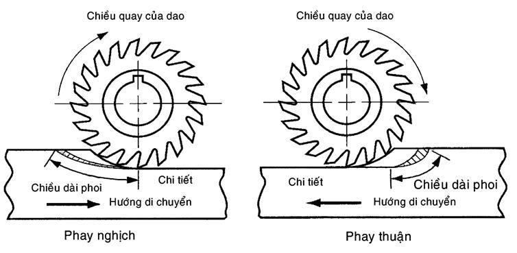 phay-thuan-phay-nghich