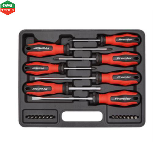 Bộ tuốc nơ vít Sealey 21 chi tiết